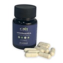 HAZEL'S Choice akkermansia probiotic – 30 Capsule Bottle – Vegan - Non-GMO - No Refrigeration Needed - No Preservatives – probiotico akkermansia – Gut-Friendly Daily Routine