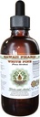 White Pine Alcohol-Free Liquid Extract, White Pine (Pinus Strobus) Αποξηραμένο Μπαρκ Γλυκερίτης Φυσικό συμπλήρωμα βοτάνων, Χαβάη Pharm, ΗΠΑ 4 fl.oz