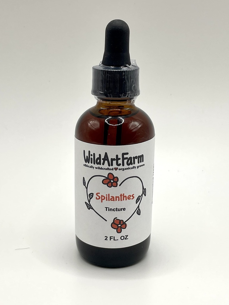 Spilanthes Oleracea Tincture Liquid Toothache Plant Extract (2 oz Tincture)