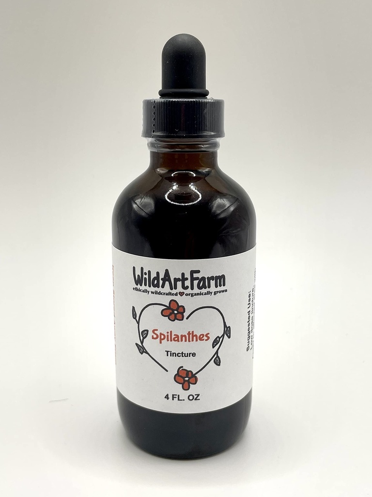 Spilanthes Oleracea Tincture, Liquid Toothache Plant Extract (4 oz Tincture)