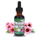 Απάντηση της φύσης Echinacea Αλκοόλ ελεύθερο εκχύλισμα 1 ρευστή ουγγιά 