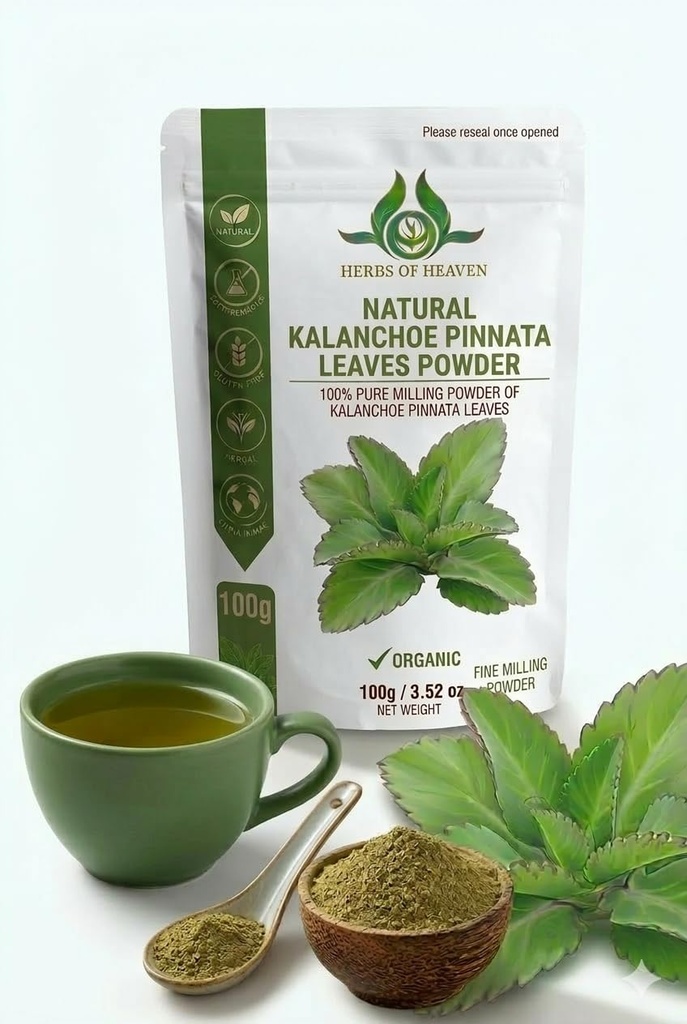 100g Kalanchoe Pinnata Leaves Powder - Healthly Natural Leaves Powder -Cultivated from Sri Lanka and Gluten Free- 100% Pure, Premium Quality - Herbal Tea