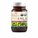 100% Organic Amla Tablets, Ayurvedic, for Digestive Health, Gut Balance and Immune Support, Vegan, Non-GMO Amla Capsules for Daily Vitality, Skin Wellness & Natural Nutrition - 90 Count
