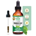 Botanic Choice Ginkgo Biloba Leaf Liquid Extract – Alcohol Free, Gluten Free, Fast Acting Supplement Drops – Easy to Use Dropper 1 Fluid Ounce