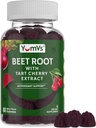 YUM-V'S Beet Root Gummies with Tart Cherry Extract - Berry Flavor Beetroot Gummies - Τσίχλες τεύτλων για την κυκλοφορία του αίματος και αντιοξειδωτική υποστήριξη - Red Beets Gummies (Berry 60 Count (Pack of 1)
