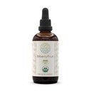 HerbEra Bilberry Fruit B120 USDA Organic Tincture | Alcohol-Free Extract, High-Potency Herbal Drops, Vision | Certified Organic Bilberry (Vaccinium Myrtillus) Dried Fruit (4 fl oz)