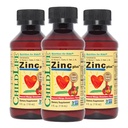 ChildLife Essentials Liquid Zinc Plus for Kids & Toddler - Liquid Supplement, Zinc Gluconate & Copper for Immune Support - Mango Strawberry Flavor, 4 Fl Oz (Pack of 3)