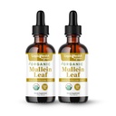 LIQUIDHEALTH USDA Organic Mullein Leaf Extract Drops for Lungs - Herbal Cleansing Drops for Smokers, Immune Support, Respiratory Health - 1000mg, Sugar-Free, Vegan, Made in USA (2 Pack)