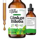 Άγρια & Βιολογικά Ginkgo Biloba εκχύλισμα σταγόνες - Εγκέφαλος & υποστήριξη εστίασης - Υγρό Ginkgo Biloba συμπληρώματα - Vegan, ζάχαρη & αλκοόλ-ελεύθερος βοτανική βαφή - 4 fl oz