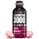ProSupps L-Carnitine Liquid 3000, Simulant-free Liquid Shots για Άνδρες & Γυναίκες - Καθαρίστε το ποτό προπόνησης για την ενέργεια, την απόδοση και την αποκατάσταση των μυών - Χωρίς ζάχαρη, χωρίς υδατάνθρακες - 31 Σερβιέτες, φρούτα δράκου