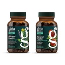 Gaia Herbs Adrenal Health Daily Support, Help Maintain Healthy Energy & Stress Levels*,120 Liquid Phyto-Caps Adrenal Health Nightly Restore, 120 Liquid Phyto-Caps - Bundle