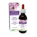 Naturalma Astragalus (Astragalus membranaceus) Root Alcohol-Free Tincture - 4 fl oz Liquid Extract in Drops - Herbal Supplement - Vegan