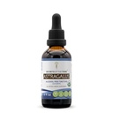 Secrets of the Tribe Astragalus USDA Organic | Alcohol-Free Extract, High-Potency Herbal Drops | Made from 100% Certified Organic Astragalus (Astragalus membranaceus) Dried Root (2 oz)