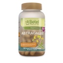 Betel Natural Premium Astragalus Herb Extract Immune and Antioxidant Support Herbal Supplement - 1500 mg Per Serving - 90 Caps