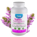 One Planet Nutrition Nano Astragalus 500 mg Veggie Capsules (120 Servings), Astragalus Membranaceus Extract, Nano for Max Absorption, Supports Immune Health and Vitality, Non-GMO, Vegan, Gluten-Free