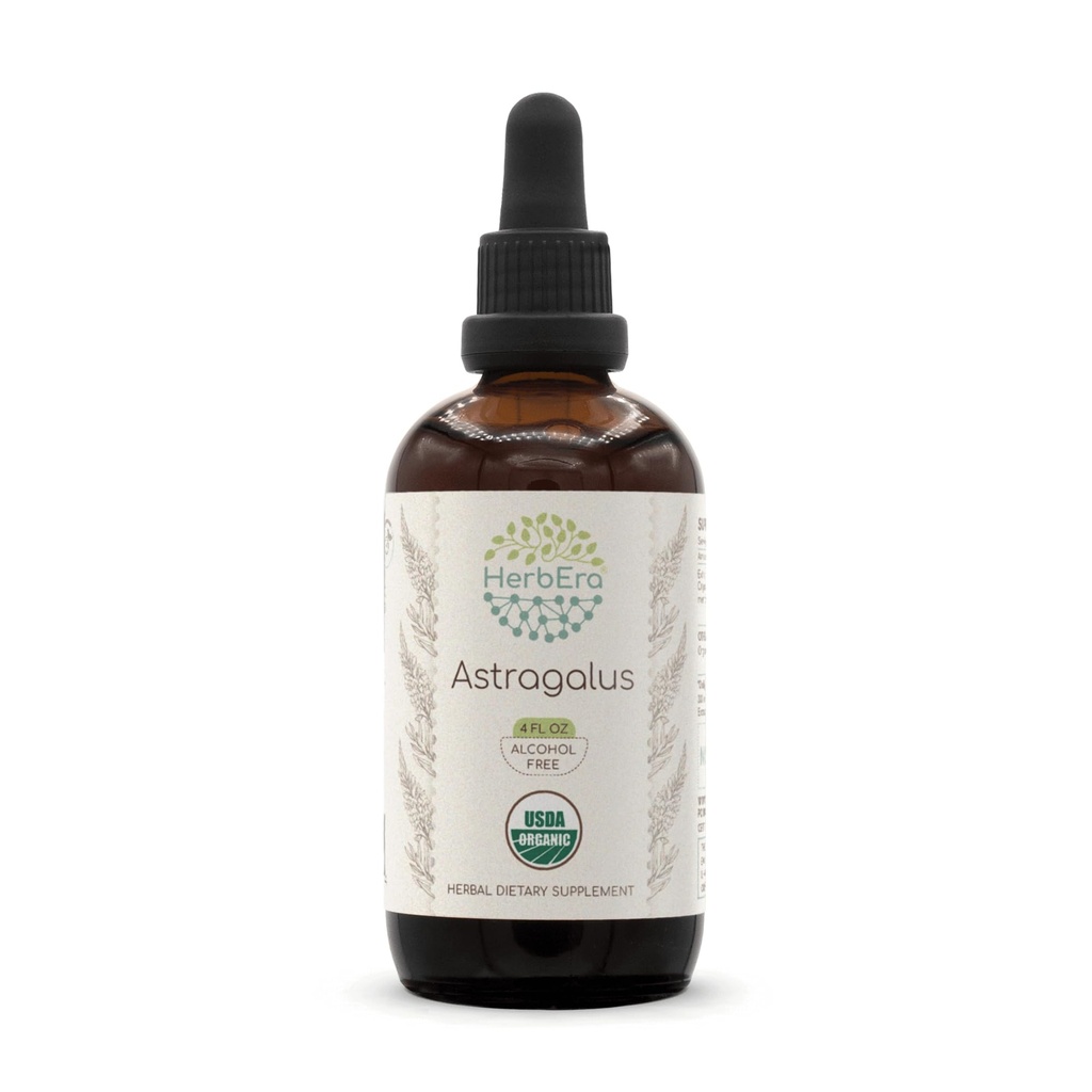 HerbEra Astragalus B120 USDA Organic Tincture | Alcohol-Free Extract, High-Potency Herbal Drops | Certified Organic Astragalus (Astragalus membranaceus) Dried Root (4 oz)