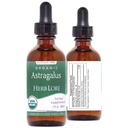Herb Lore Astragalus Tincture USDA Organic Liquid Astragalus Root Extract Drops - Alcohol-Free Immune System Support for Adults & Kids 2 Fl Oz