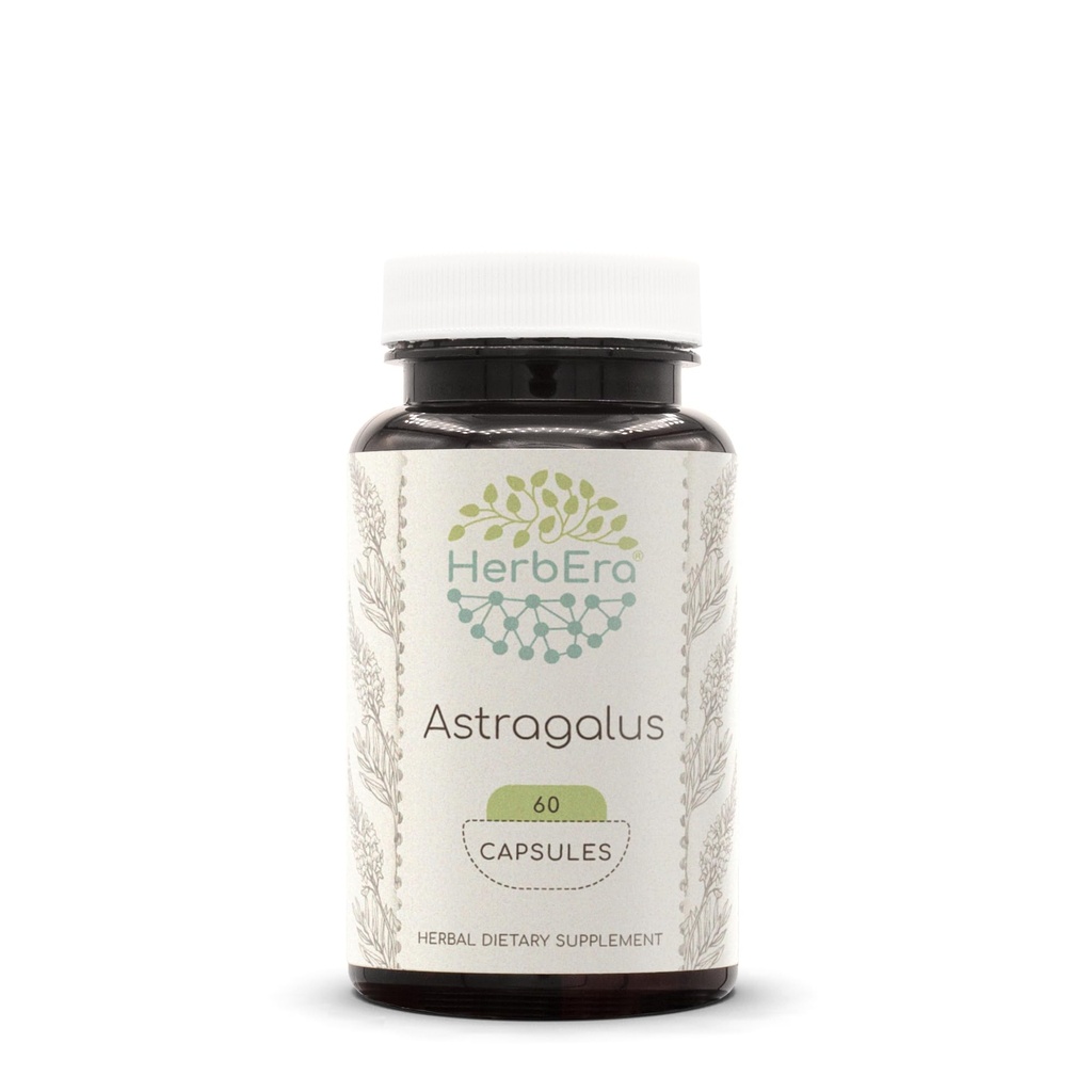 Astragalus 60 Capsules, 500 mg, Concentrated Liquid Drops Natural Astragalus (Astragalus Membranaceus) Dried Root (60 Capsules)