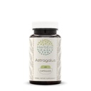 Astragalus 60 Capsules, 500 mg, Concentrated Liquid Drops Natural Astragalus (Astragalus Membranaceus) Dried Root (60 Capsules)