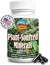 Fulvic Humic Mineral Blend Trace Minerals, Electrolytes, Gut Health, Γνωστική λειτουργία, Ενυδάτωση & Ανοσολογική υποστήριξη, Καθαρή φόρμουλα ζωτικότητας για την ευεξία - 60 κάψουλες