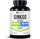 Healthfare Ginkgo Biloba Extract | 200 Vegan Capsules | Extra Strength Standardized Herbal Supplement | Supports Brain Function, Memory & Focus | Non-GMO, Gluten-Free | Made in USA