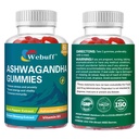 Ashwagandha Gummies with L-Theanine & Black Pepper Extract for Daily Stress Relief, Mood Support & Mental Clarity, Non-GMO, Gluten-Free, 60 Count per Bottle, Pack of 2, 120 Total Gummies