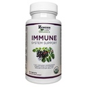 Organic Immune Support Supplement Vitamin C, Moringa, Elderberry, Astragalus, Oregano, Ginger, Garlic (90 Tablets, 30 Day Supply)