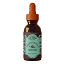 Herbs Etc. Lymphatonic Classic Liquid Extract - Plant-Based Herbal Supplement for Lymphatic Support & Detoxification - Burdock Root & Red Root - Immune Support - 2 fl oz (79 Servings)