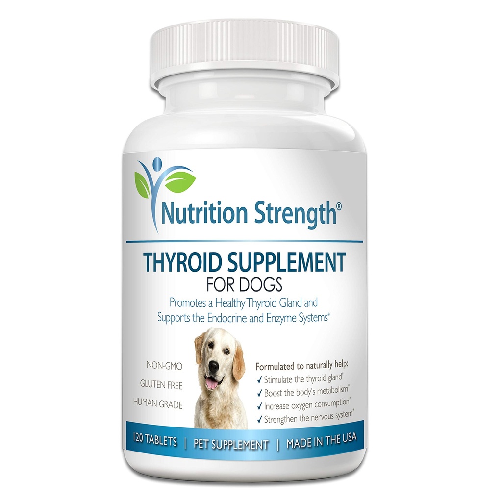 Thyroid συμπλήρωμα για σκύλους, υποστήριξη για τον υποθυρεοειδισμό σε σκύλους με οργανική Bladderwrack, προωθεί τη φυσιολογική λειτουργία των συστημάτων ενδοκρινών και ενζύμων, 120 Μασώμενα δισκία