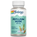SOLARAY Psyllium Husk Capsules – 525 mg Prebiotic and Soluble Fiber Supplement for Overall Daily Wellness Support – Vegan, Lab Verified – 100 Servings, 100 VegCaps