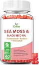 Sea Moss Gummies για ενήλικες παιδιά με χλωροφύλλη, Bladderwrack, Burdock Root, Blck σπορέλαιο, βιταμίνη C & D3, ψευδάργυρος, 8-σε-1 ισχυρή φόρμουλα υποστηρίζει ανοσοποιητικό σύστημα και ενίσχυση της ενέργειας (1-πακέτο)