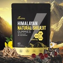 15-in-1 Liposomal NMN Supplement-sShilajit* Gummies,Pure Himalayan* micronutrient Supplement*