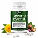 Lymphatic Drainage & Detox Supplement – Natural Herbal Capsules with Echinacea, Dandelion & Burdock Root – Supports Immune Health, Fluid Balance & Energy – 90 Count