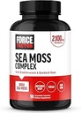 FORCE FACTOR Irish Sea Moss Κάψουλες με Burdock και Bladderwrack για Ανοσία, Διέγερση, Υγεία της Καρδιάς, και Αντιοξειδωτική Υποστήριξη, Vegan, Όχι Ζελατίνη, 90 Κάψουλες