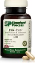 Τυποποιημένη διαδικασία Fen-Cho - Digestive & Gut Health Supplement - Χωρίς γλουτένη, Μη-Dairy & Μη-Σόγια - 90 κάψουλες (45 εξυπηρετούν)