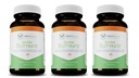 Double Butyrate Gut Health Supplement|Probiotic & Postbiotic Digestive Supplements for Gut Support|Enhances Immune, Brain, & Nervous System Function|Odor-Free Formula | 120 caps, 3 Pack