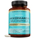 BioSchwartz Akkermansia Muciniphila Prebiotics & Postbiotic - Akkermansia Probiotic Supplement for Women & Men - Supports Gut Health, Microbiome Balance, Digestive Support - Gluten Free - 30 Capsules