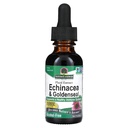 Απάντηση της φύσης Enchinacea & Goldenseal 