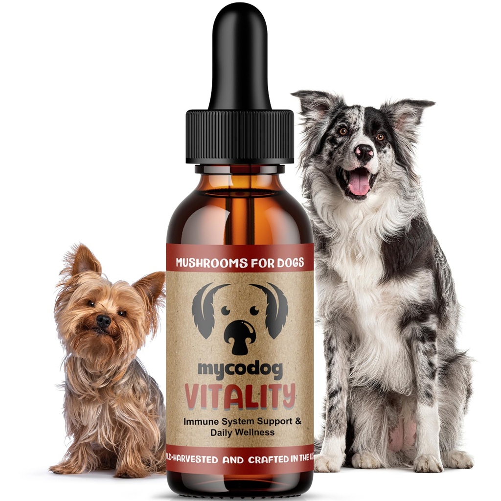 MycoDog Vitality - 20-in-1 Mushroom & Adaptogen Supplement for Dogs - Immune Health, Senior Dog, & Daily Wellness Support - Turkey Tail Mushroom for Dogs, Reishi, Chaga