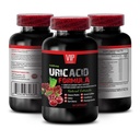 Uric Acid Formula - URIC Acid Cleans - URIC Acid Formula - Milk Thistle, Cranberry, Green Coffee Bean, Pomegranate, Turmeric, uric Acid Flush, uric Acid Flush Natural 1 Bottle 60 Capsules