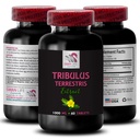 Daily Energy Boost - TRIBULUS TERRESTRIS EXTRACTS - Active Body Support, Plant-Based Energy Boost, Active Energy Support, Body Power, Energy Recharge, Strength Support, Natural Strength 1Bot 60Tabs