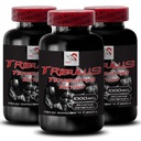 Energy - TRIBULUS TERRESTRIS EXTRACT - Strength Optimization, Dynamic Stamina Boost, Active Muscle Recovery, Physical Power Support, Strength Power, Stamina Enhancement 3 Bottles 270 Tablets