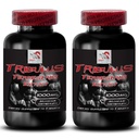 Strength Recovery Formula - TRIBULUS TERRESTRIS EXTRACT - Energy Performance Booster, Dynamic Muscle Support, Active Energy Boost, Physical Power Support, Stamina Enhancement, Muscle 2Bot 180Tabs