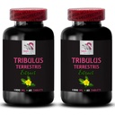 Pure Power - TRIBULUS TERRESTRIS EXTRACTS - Natural Muscle Boost, Physical Energy Source, Strength Surge, Active Body Power, Dynamic Strength, Muscle Support, Plant-Based Boost 2 Bottles 120 Tablets