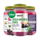 Sea Moss Gel Elderberry Vitamins 24oz Wildсrafted Gold Sea Moss Gel from Saint Lucia | 92 Vitamins and Minerals | Pure Raw+Non-GMO