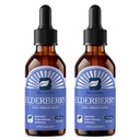 B BEWORTHS 2 Pack Elderberry Syrup Black Elderberry Drops with Quercetin, Panax Ginseng, Vitamin C and Zinc, Sambucus Liquid, Vegan, Non-GMO & Gluten Free