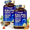 R Alpha Lipoic Acid 1400mg Neuropathy Supplements, 28-in-1 Stabilized ALA Supplements with L-Carnitine, NAC & Benfotiamine, R-ALA Supplement Antioxidant for Nerve, Brain, Energy丨Vegan, 240 Capsules