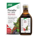 Floradix Iron & Herbs - Υγρό συμπλήρωμα βοτάνων για την ενεργειακή υποστήριξη - Συμπλήρωμα σιδήρου με βιταμίνη C & βιταμίνη Β Complex - για άνδρες & γυναίκες - 8.5 fl oz