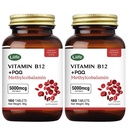 LIIFE Methylcobalamin (Higher PQQ + Vitamin B12) 5000 mcg | Boosts Antioxidant Power & Mitochondrial Support, Promotes Brain & Nerve Health | 360 Chewable Tablets, Gluten-Free Formula, Cherry Flavor