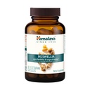 Himalaya Boswellia, Κοινή Υποστήριξη για την Κινητικότητα και Ευελιξία, Προάγει τη Διατήρηση Ιστού, 250 mg, 60 Κάψουλες
